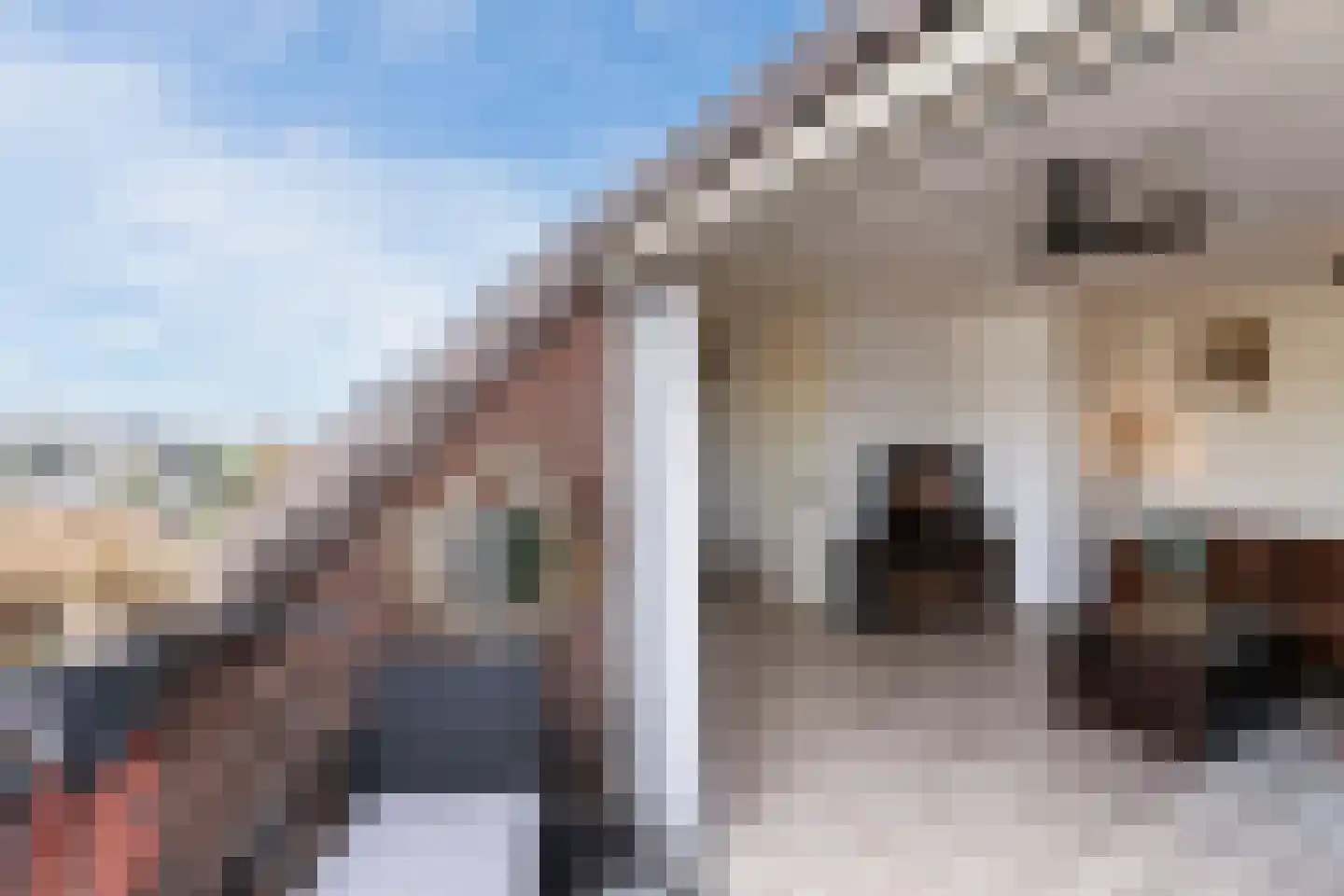 De Zetter 73 Wormerveer thumbnail 35