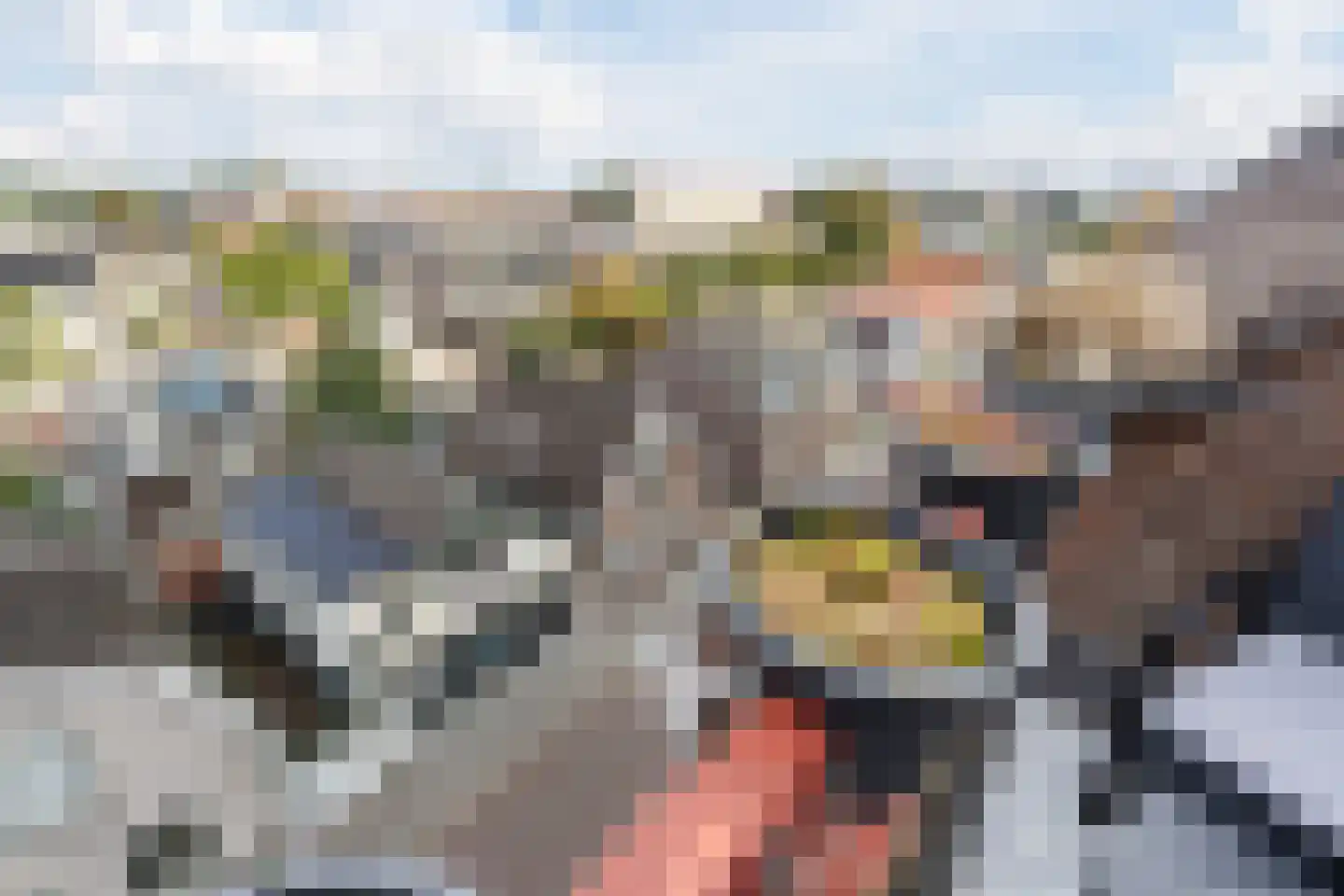 De Zetter 73 Wormerveer thumbnail 39