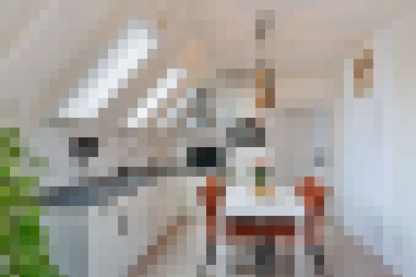 De Zetter 73 Wormerveer thumbnail 4
