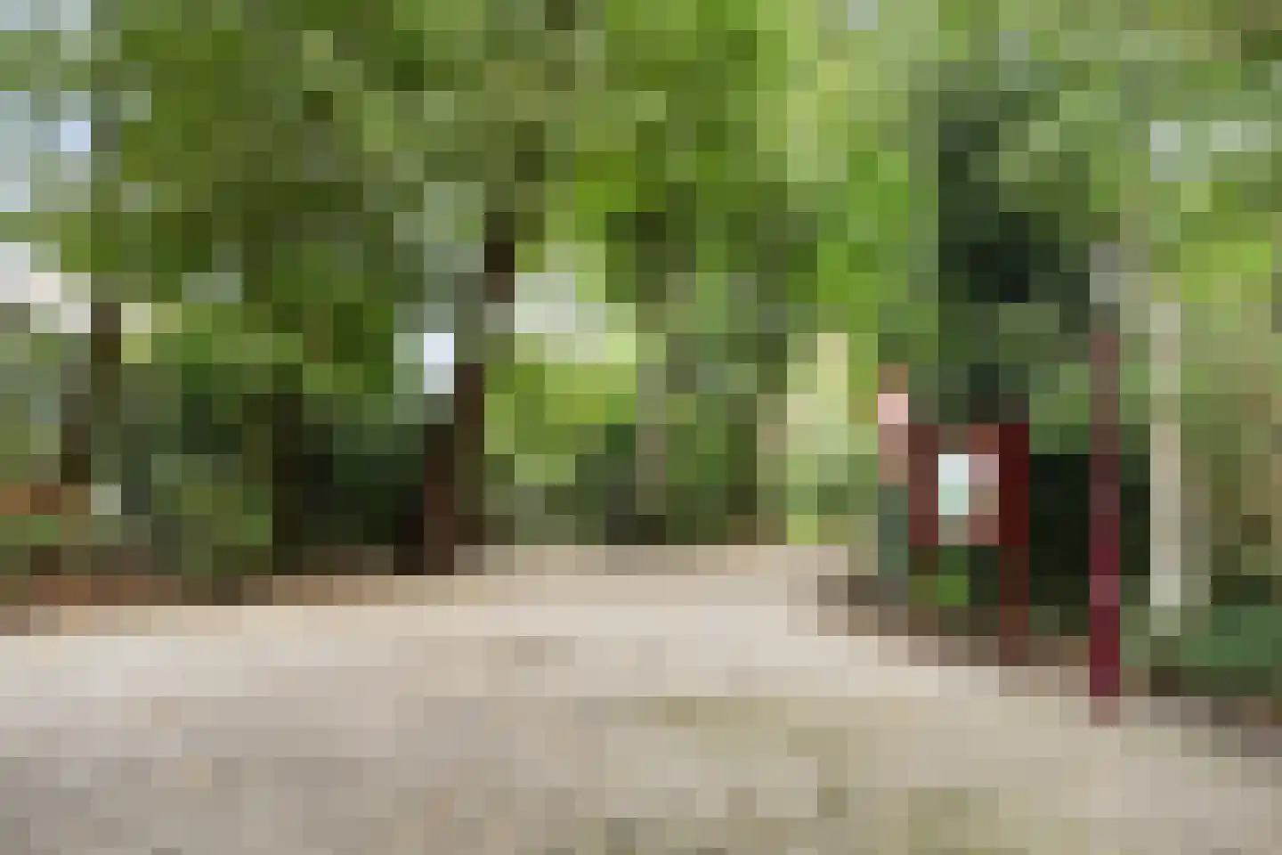 De Zetter 73 Wormerveer thumbnail 52