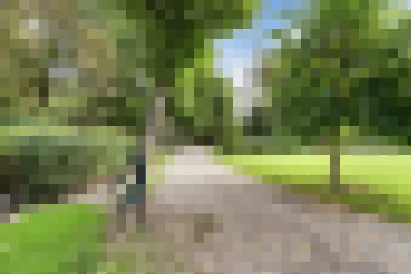 De Zetter 73 Wormerveer thumbnail 53