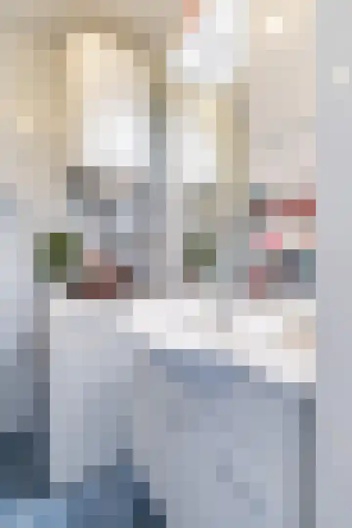 De Zetter 8 Wormerveer thumbnail 15