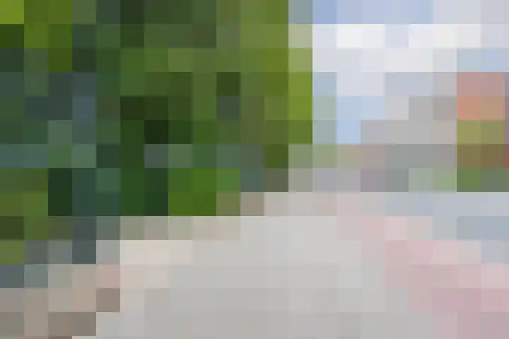 De Zetter 8 Wormerveer thumbnail 29