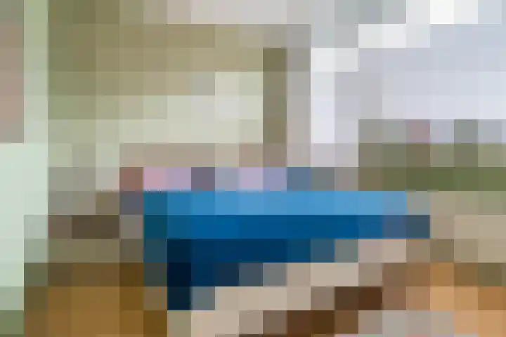 De Zetter 8 Wormerveer thumbnail 5