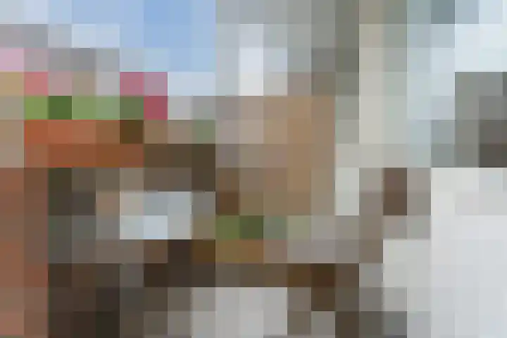 De Zetter 8 Wormerveer thumbnail 6