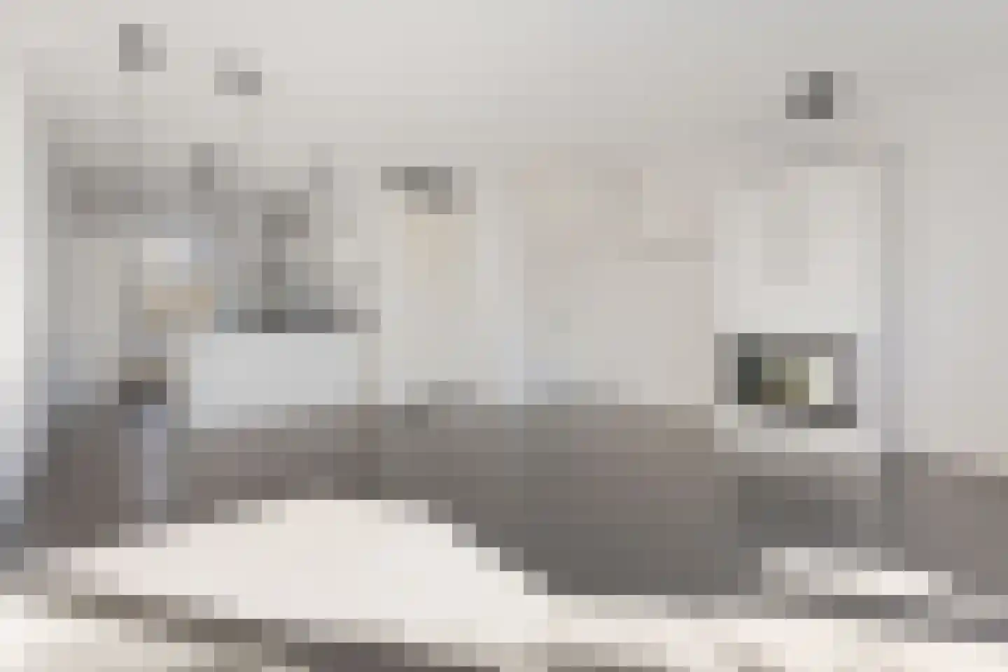 De Zeven Boompjes 7 Vianen thumbnail 11