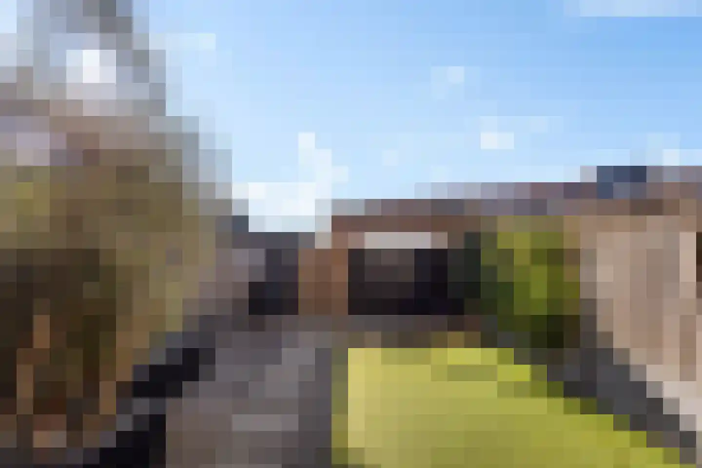De Zeven Boompjes 7 Vianen thumbnail 43