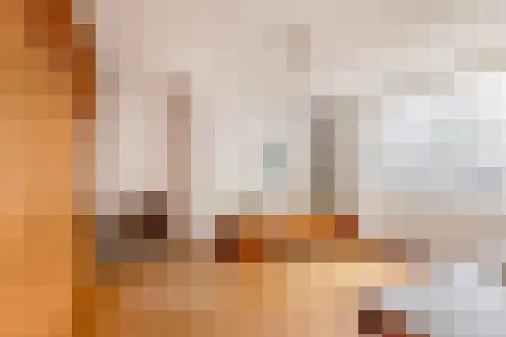 De Zevenhoeven 10 Heemskerk thumbnail 14