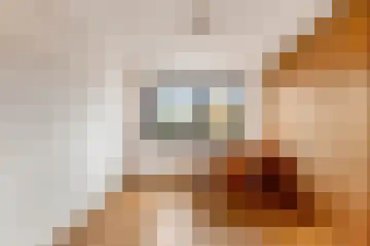 De Zevenhoeven 10 Heemskerk thumbnail 17