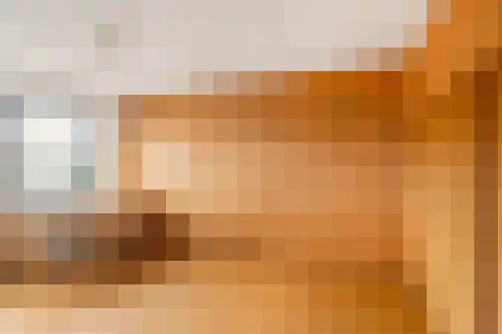 De Zevenhoeven 10 Heemskerk thumbnail 18