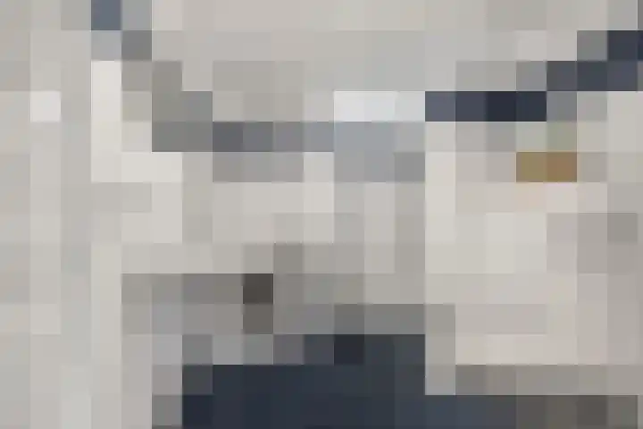 De Zevenhoeven 10 Heemskerk thumbnail 21