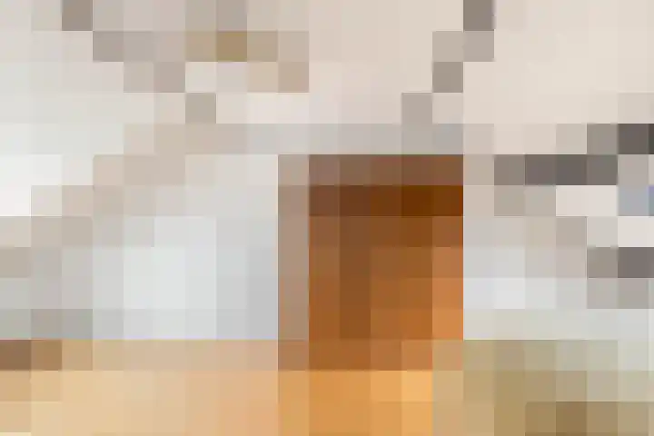 De Zevenhoeven 10 Heemskerk thumbnail 27