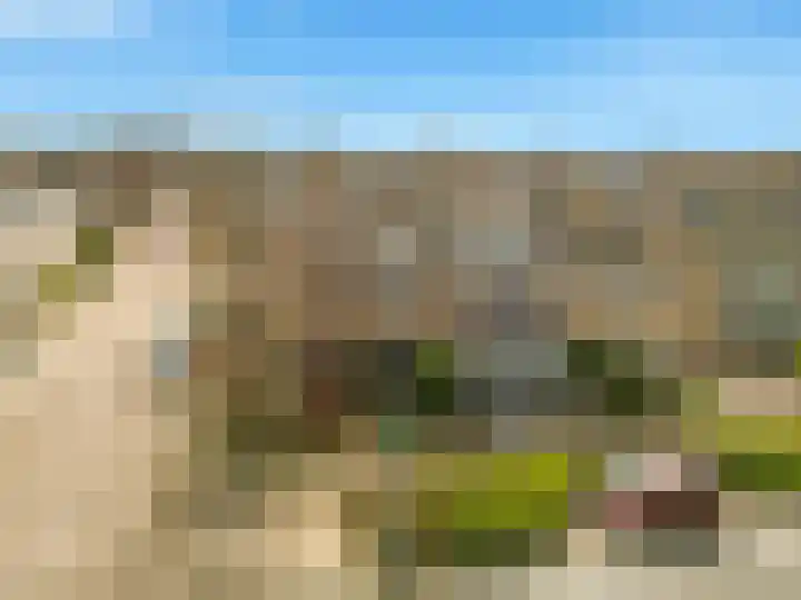 De Zevenhoeven 10 Heemskerk thumbnail 40