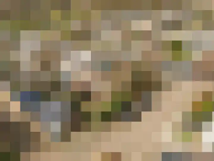 De Zevenhoeven 10 Heemskerk thumbnail 41