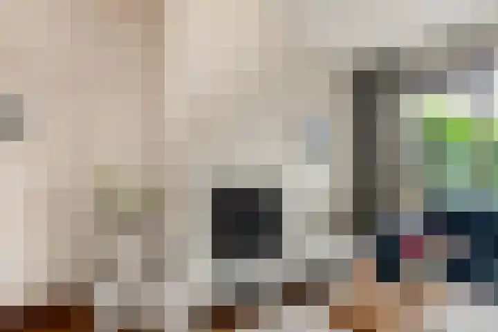De Zevenhoeven 10 Heemskerk thumbnail 7