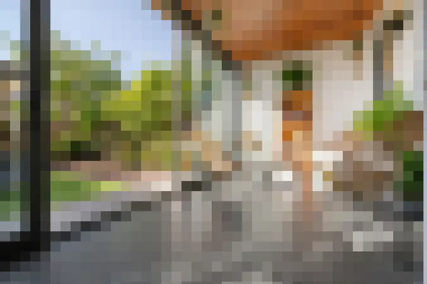 De Zevenhoeven 115 Heemskerk thumbnail 28