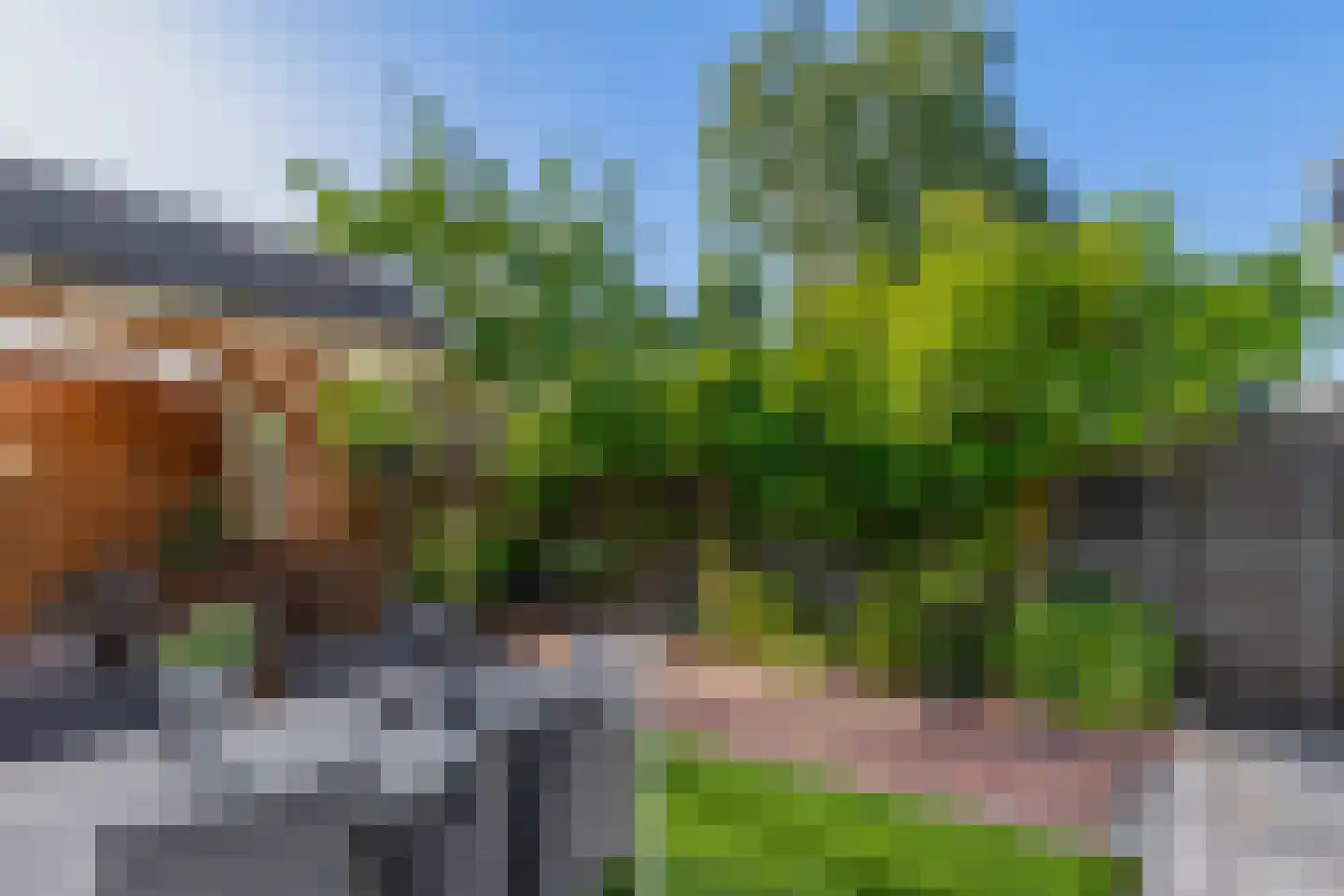 De Zevenhoeven 115 Heemskerk thumbnail 33