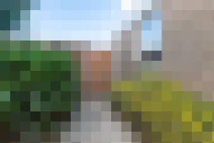 De Zevenhoeven 35 Heemskerk thumbnail 14