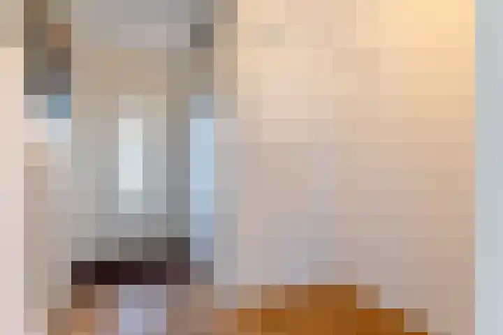 De Zevenhoeven 35 Heemskerk thumbnail 16