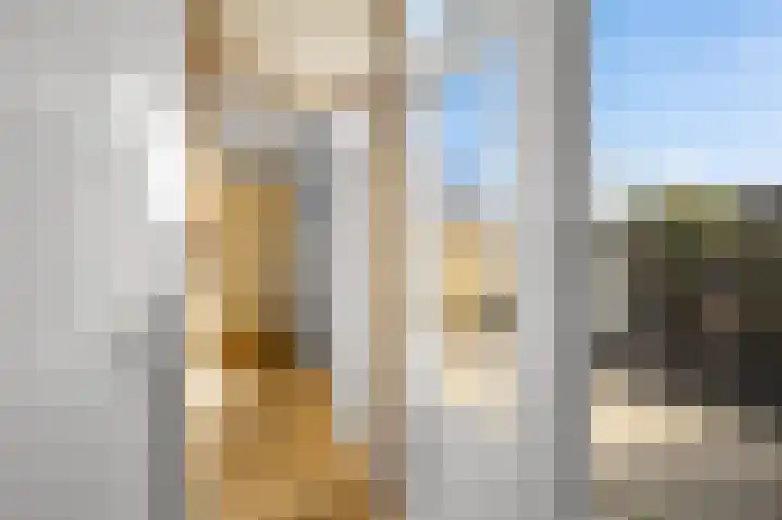 De Zevenhoeven 56 Heemskerk thumbnail 12