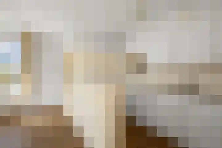 De Zevenhoeven 56 Heemskerk thumbnail 9