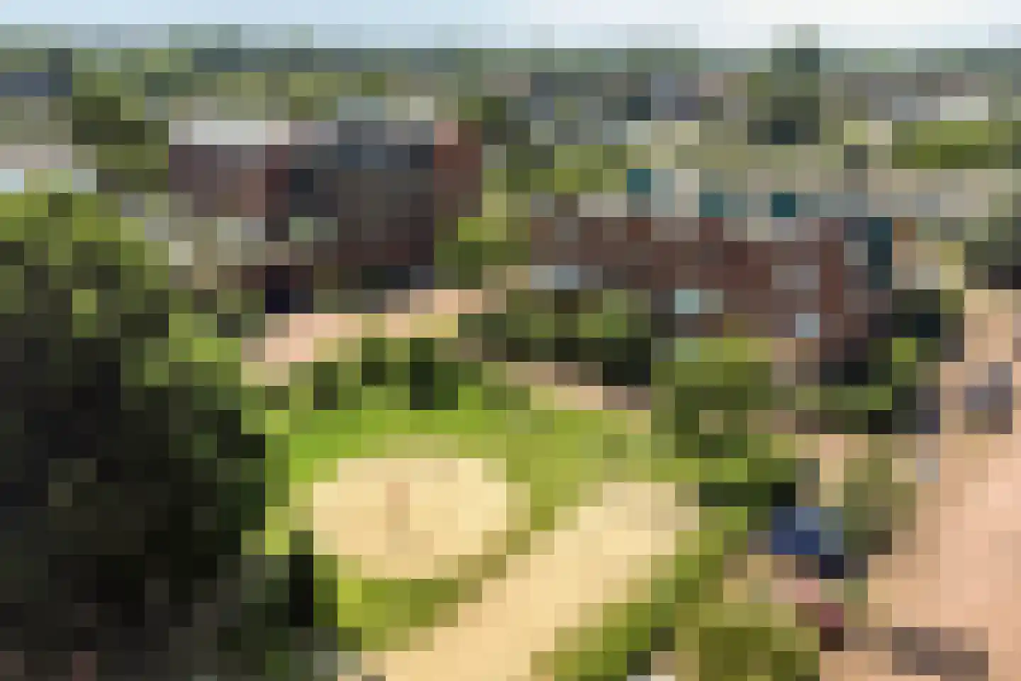 De Zevenster 19 Wormerveer thumbnail 10