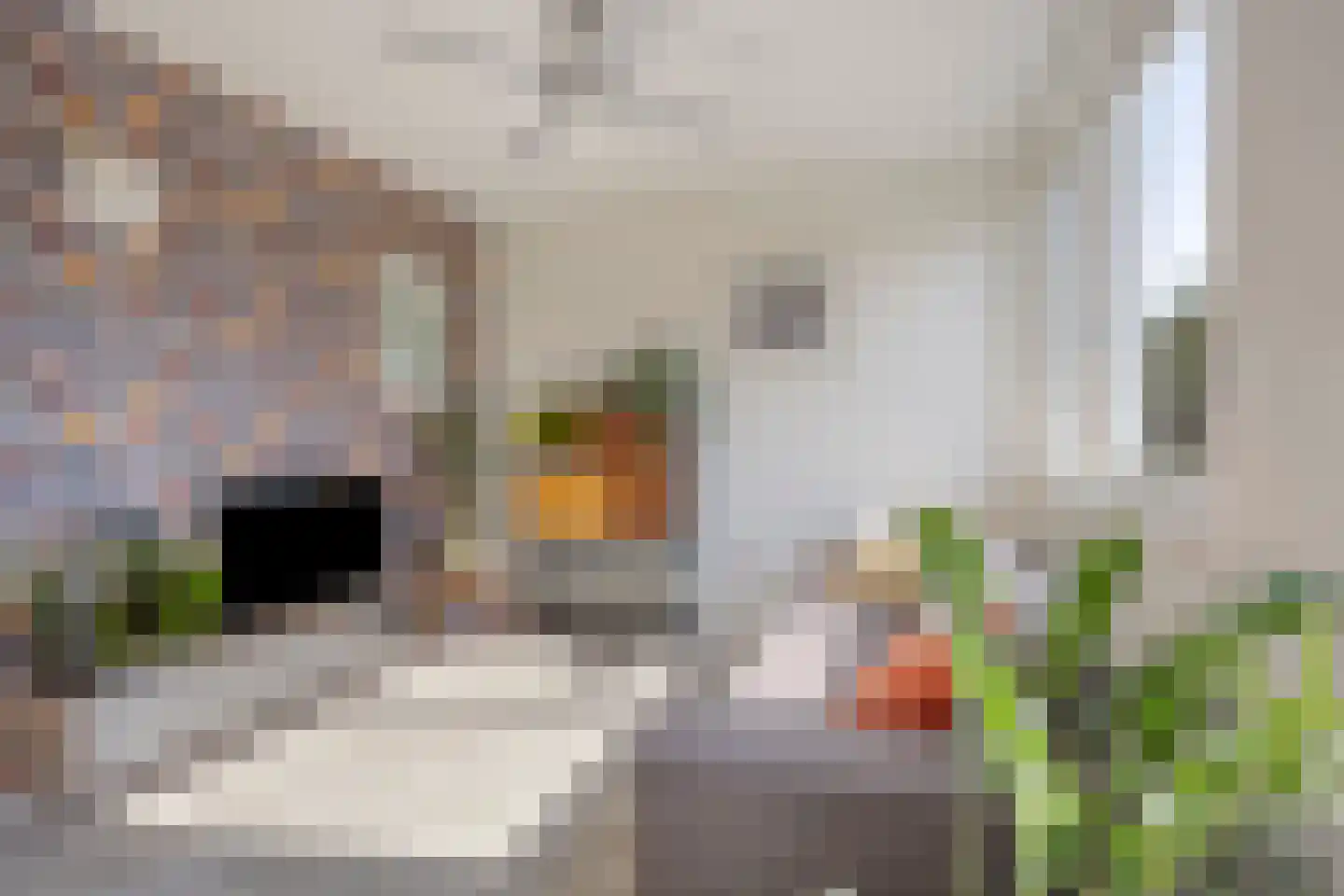 De Zevenster 19 Wormerveer thumbnail 12