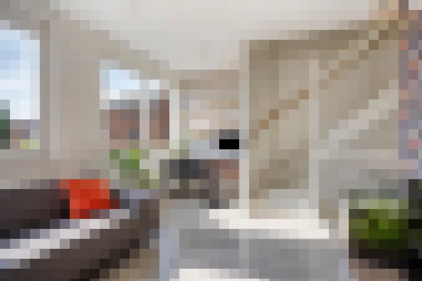 De Zevenster 19 Wormerveer thumbnail 13