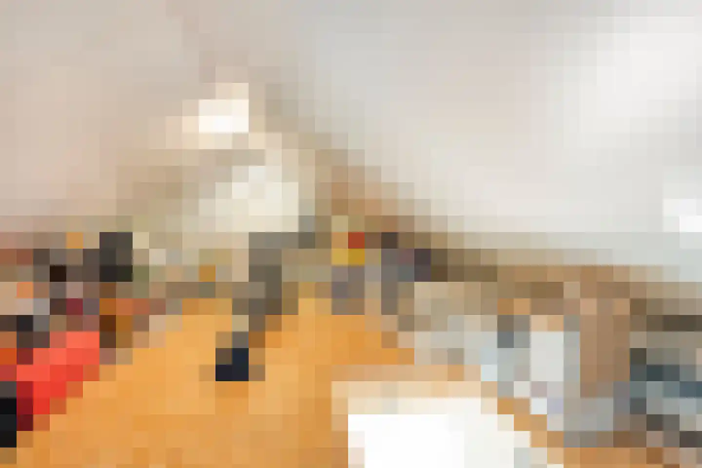 De Zevenster 19 Wormerveer thumbnail 23