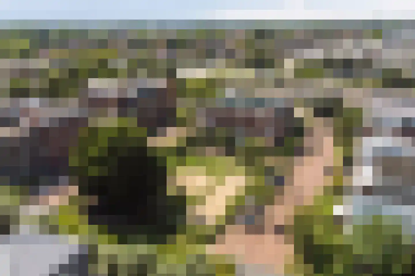 De Zevenster 19 Wormerveer thumbnail 41