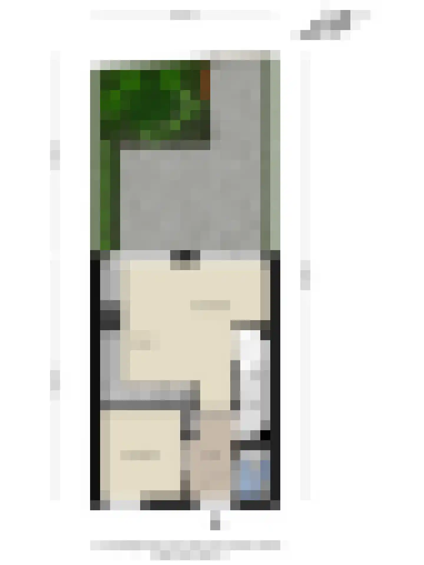De Zevenster 19 Wormerveer thumbnail 45