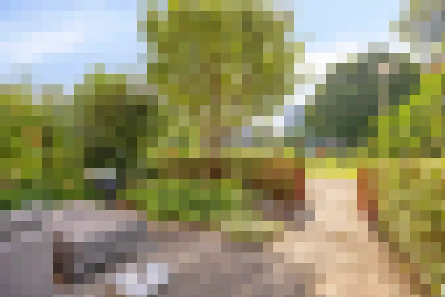 De Zevenster 19 Wormerveer thumbnail 7