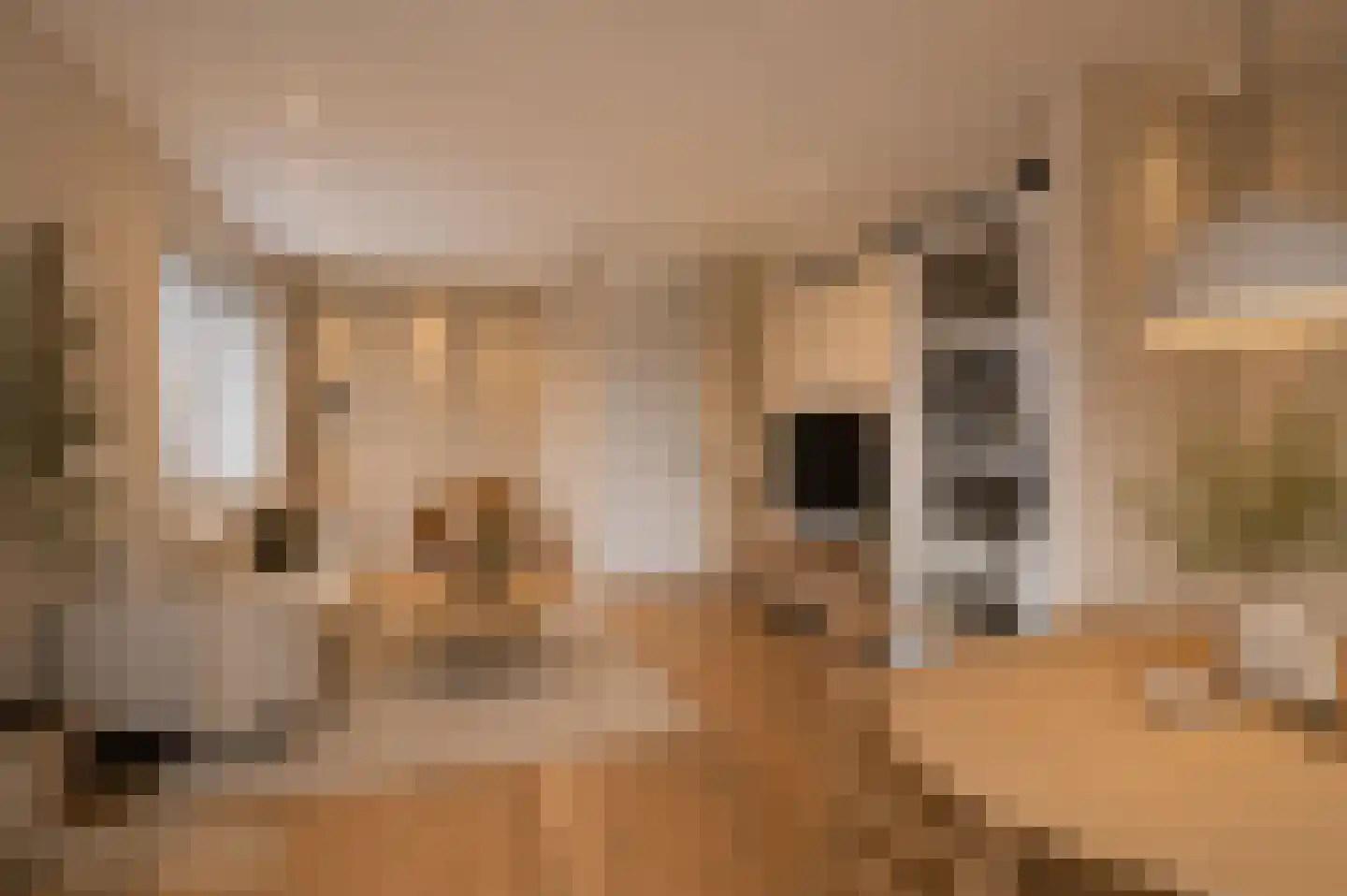 De Zevenster 29 Wormerveer thumbnail 20