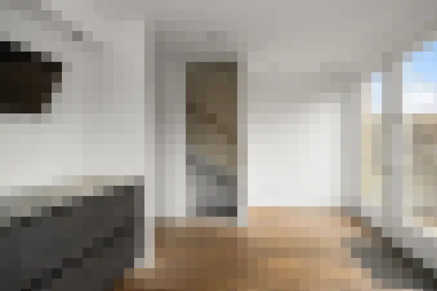 De Zevenster 29 Wormerveer thumbnail 6