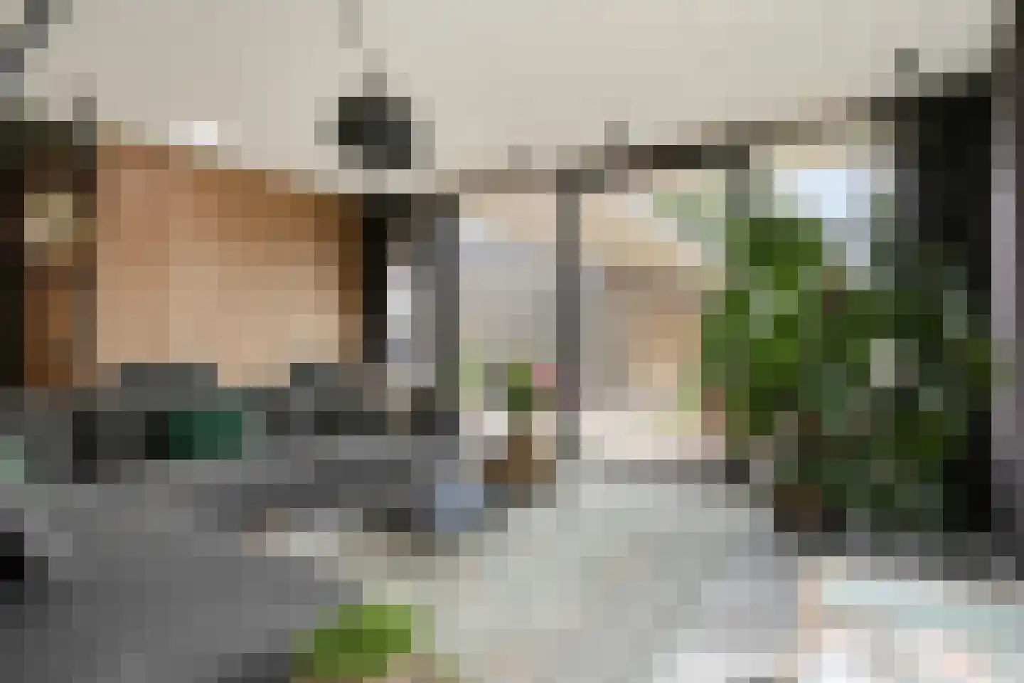 De Zicht 15 Berkel-Enschot thumbnail 11