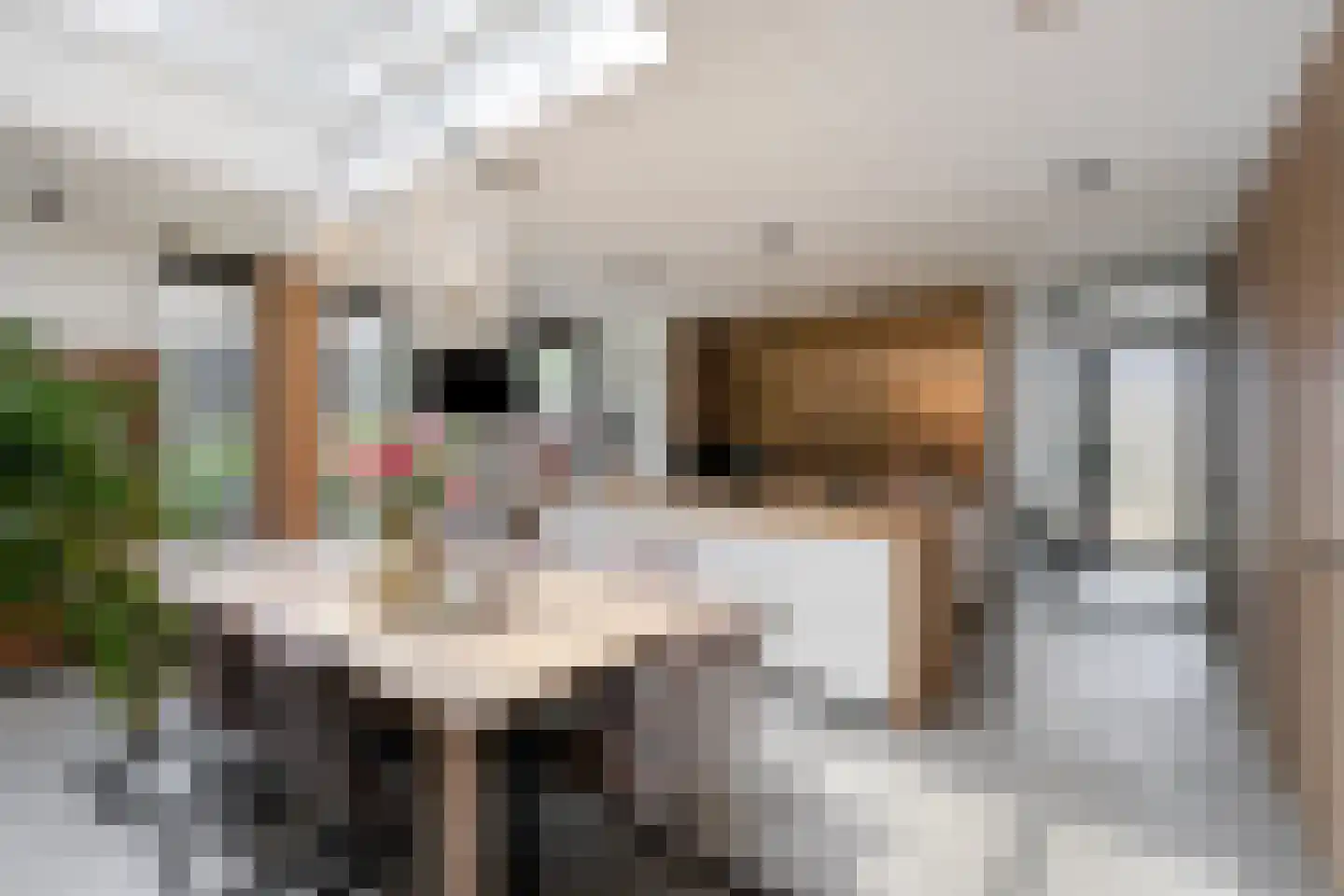 De Zicht 15 Berkel-Enschot thumbnail 4