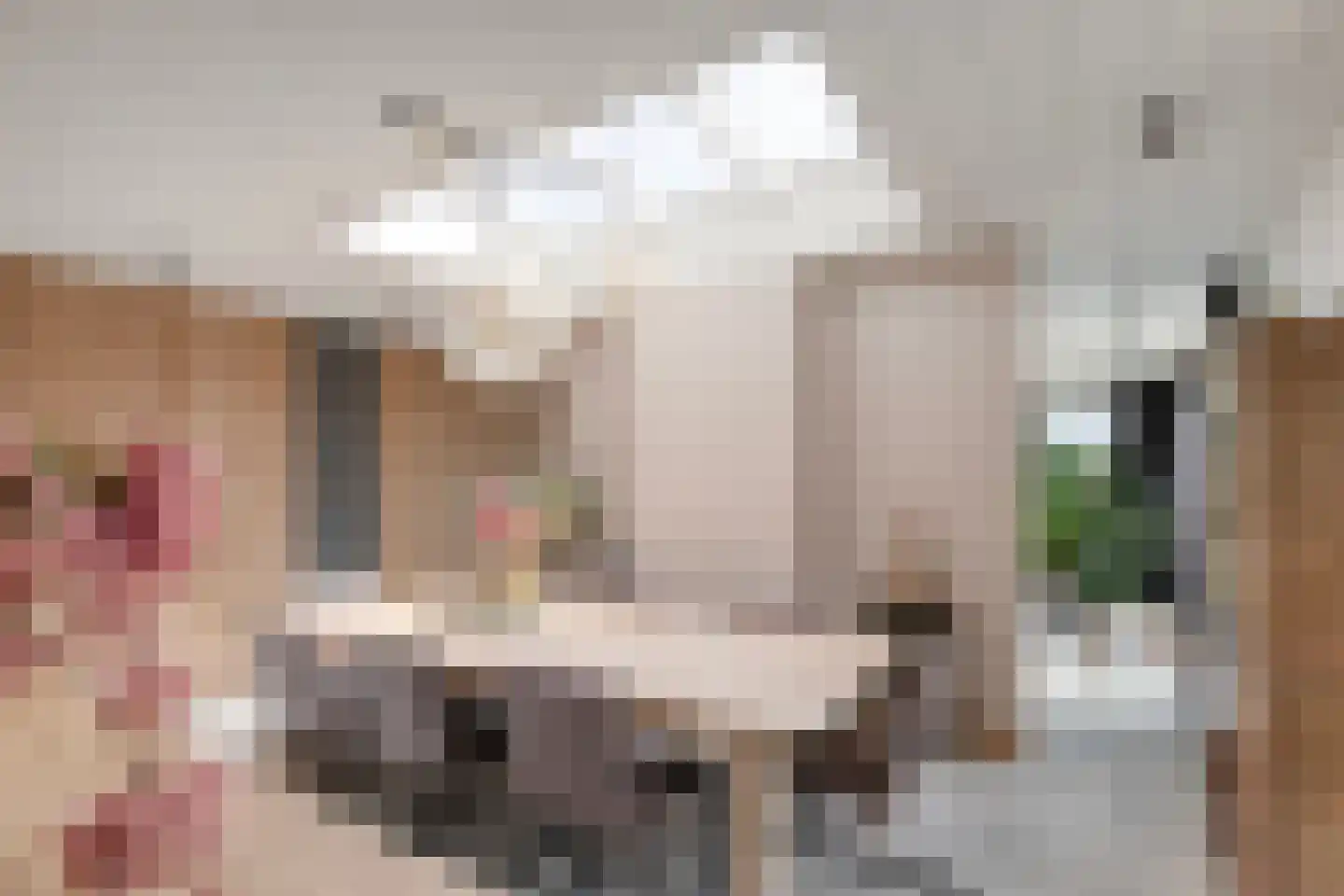 De Zicht 15 Berkel-Enschot thumbnail 8