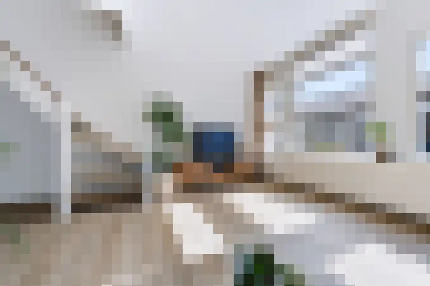 de Zicht 21 Hellevoetsluis thumbnail 12