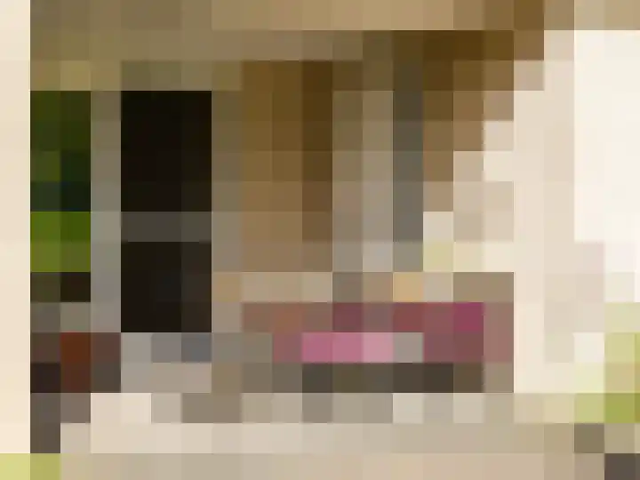 De Zicht 26 Brummen thumbnail 13