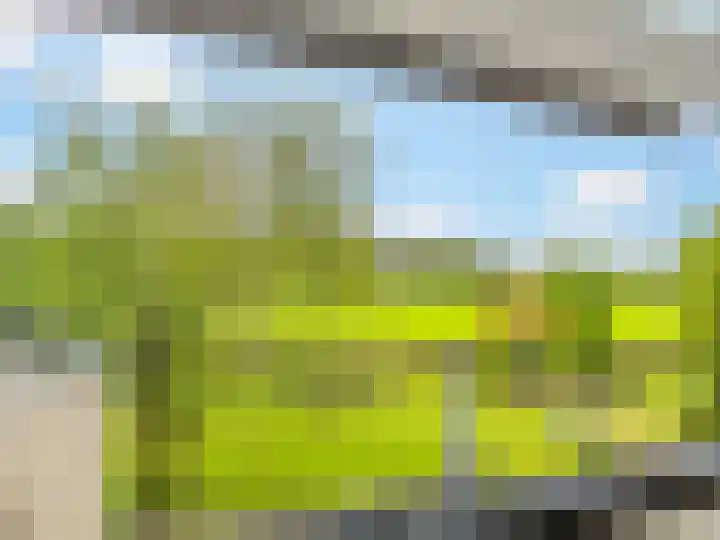 De Zicht 26 Brummen thumbnail 28