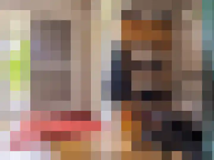 De Zicht 26 Brummen thumbnail 35