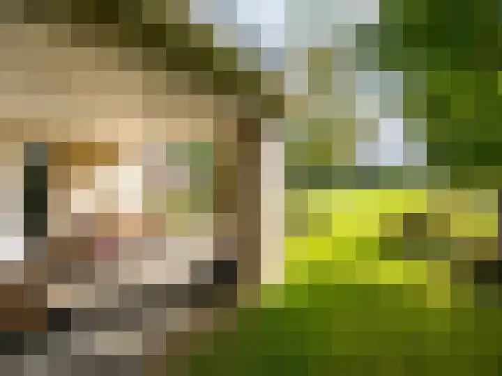 De Zicht 26 Brummen thumbnail 37
