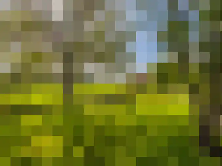 De Zicht 26 Brummen thumbnail 40