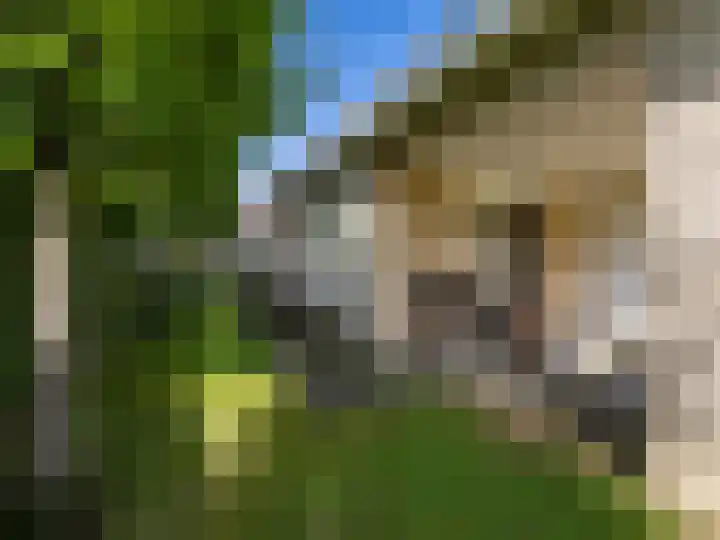 De Zicht 26 Brummen thumbnail 43
