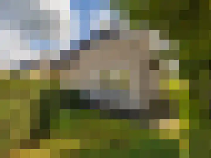 De Zicht 26 Brummen thumbnail 44
