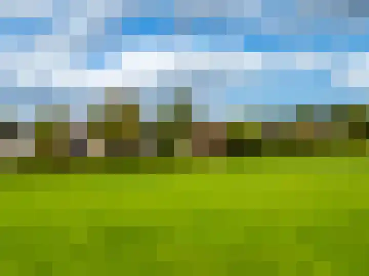 De Zicht 26 Brummen thumbnail 48