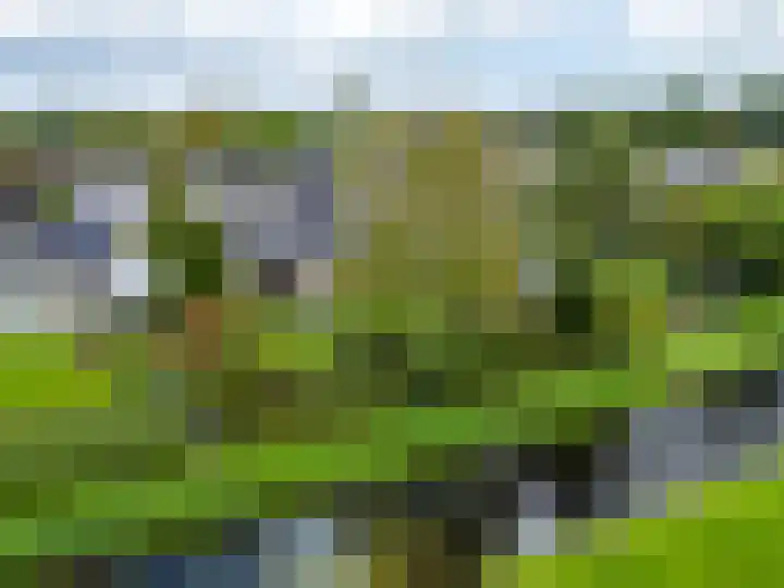 De Zicht 26 Brummen thumbnail 49