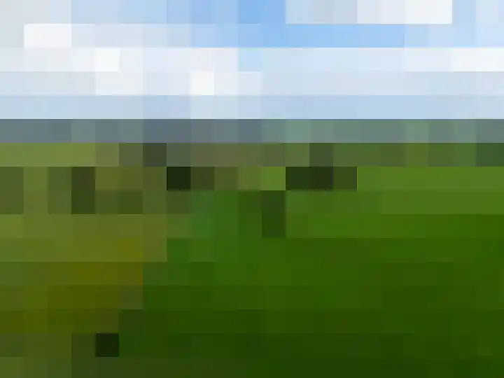 De Zicht 26 Brummen thumbnail 55