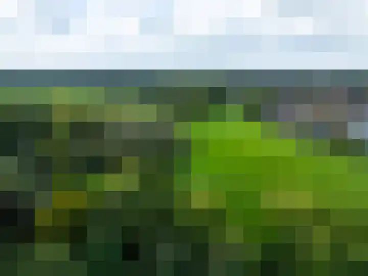 De Zicht 26 Brummen thumbnail 56