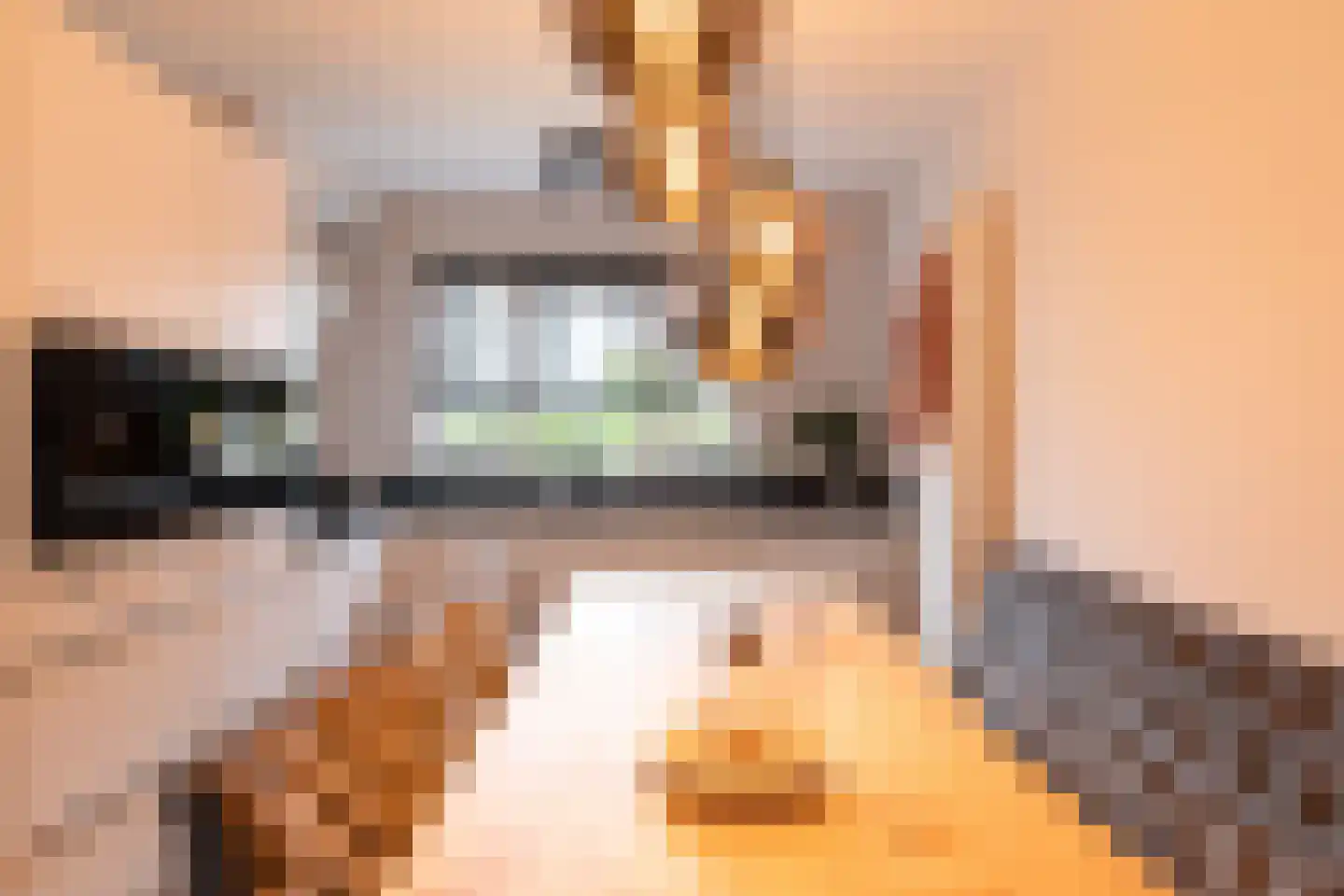de Zicht 35 Varsseveld thumbnail 14